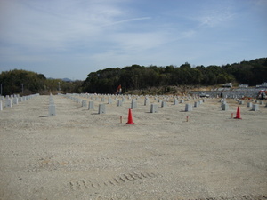 DSC02515.JPG