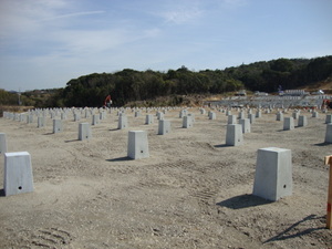 DSC02516.JPG